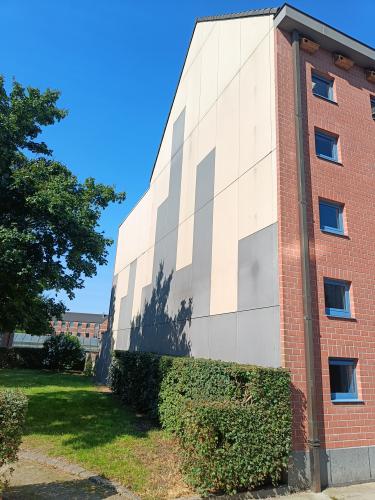 Muurschildering bibliotheek