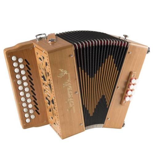 Diatonisch accordeon