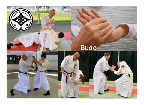 Gratis open lessen Jujutsu voor iedereen. © Makoto Jutsu Do vzw