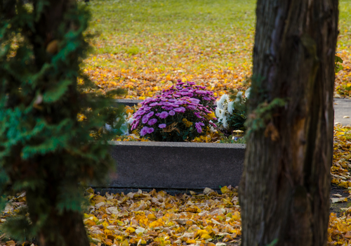 Troostconcert op begraafplaats Herentals