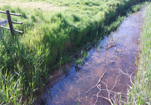 Boeren mogen terug water halen uit onbevaarbare waterlopen 