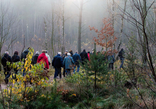 Herfst- en winterwandelingen