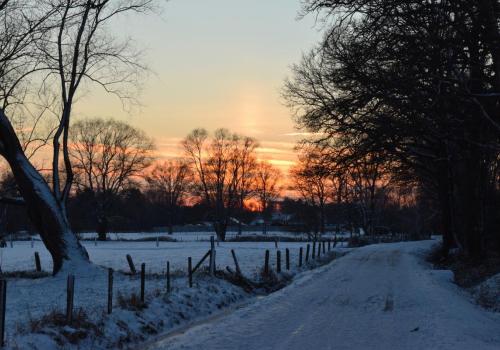 Winterwandelingen