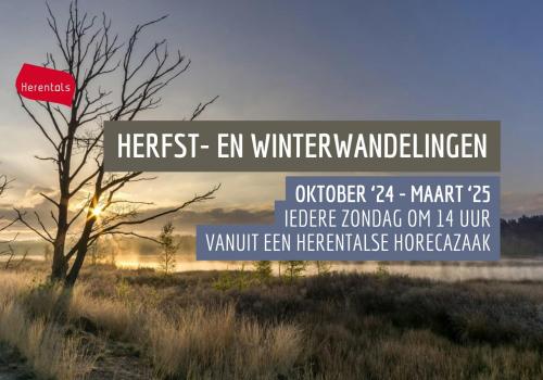 Herfst- en winterwandeling: De Boskantien © stad Herentals