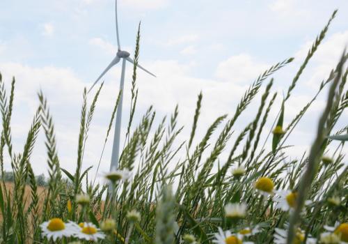 Nieuw openbaar onderzoek naar windmolens op Hoevereveld