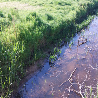 Boeren mogen terug water halen uit onbevaarbare waterlopen 