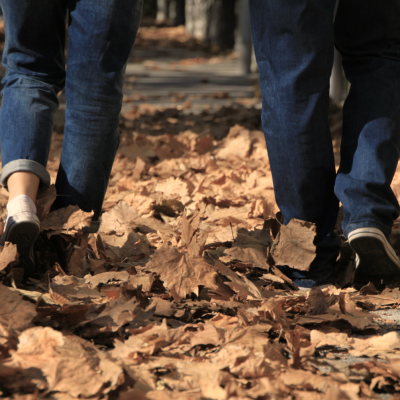 Daar zijn de herfst- en winterwandelingen weer