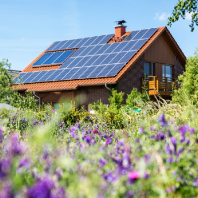 Zonnepanelen